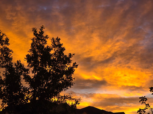 Mission of the Gospel Truth